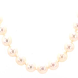 14K Yellow Gold 6.5 - 7mm Pearl Strant